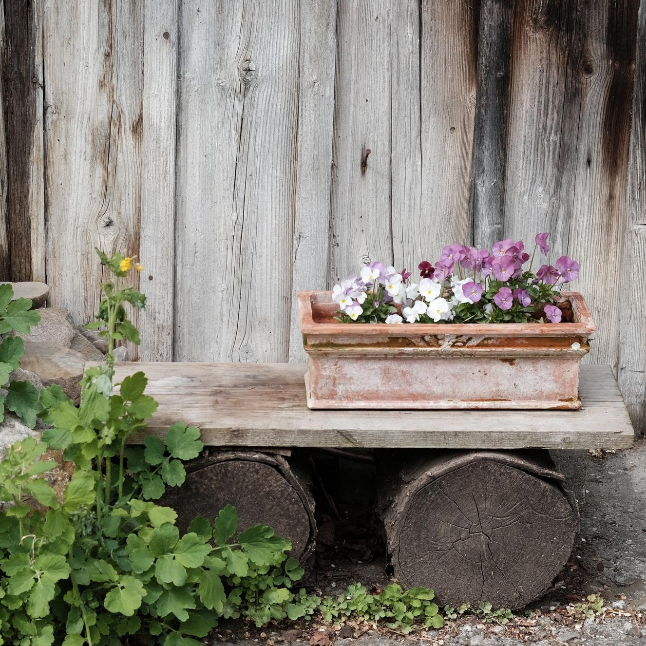 Garden Accessories